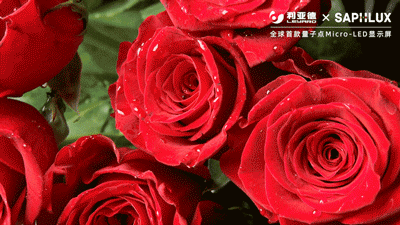 尊龙凯时·(中国)人生就是搏!