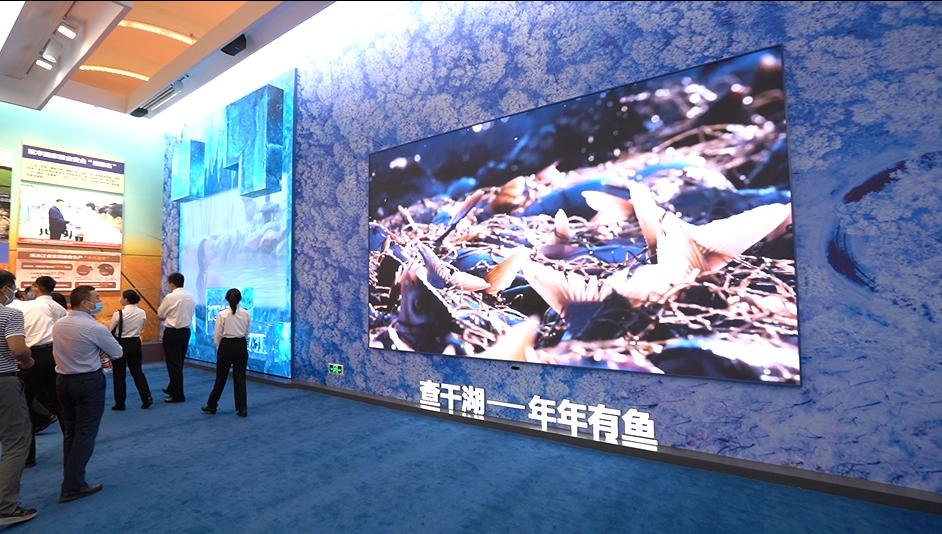 尊龙凯时·(中国)人生就是搏!