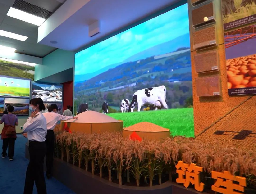 尊龙凯时·(中国)人生就是搏!