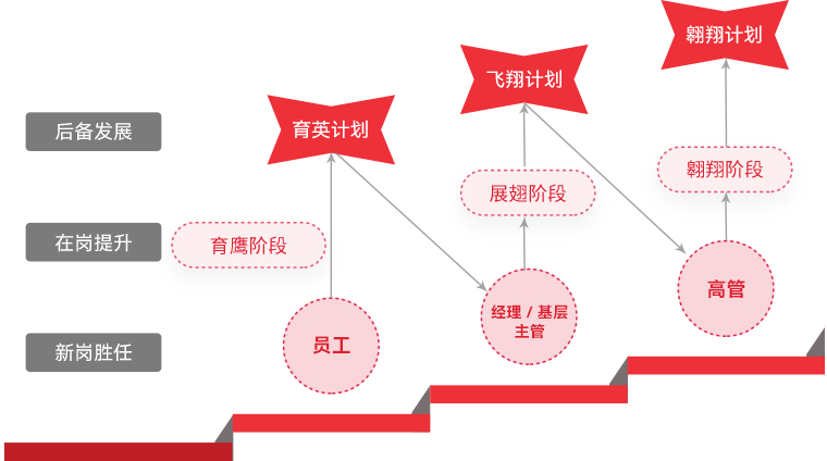 尊龙凯时 "雄鹰妄想"人才梯队作育
